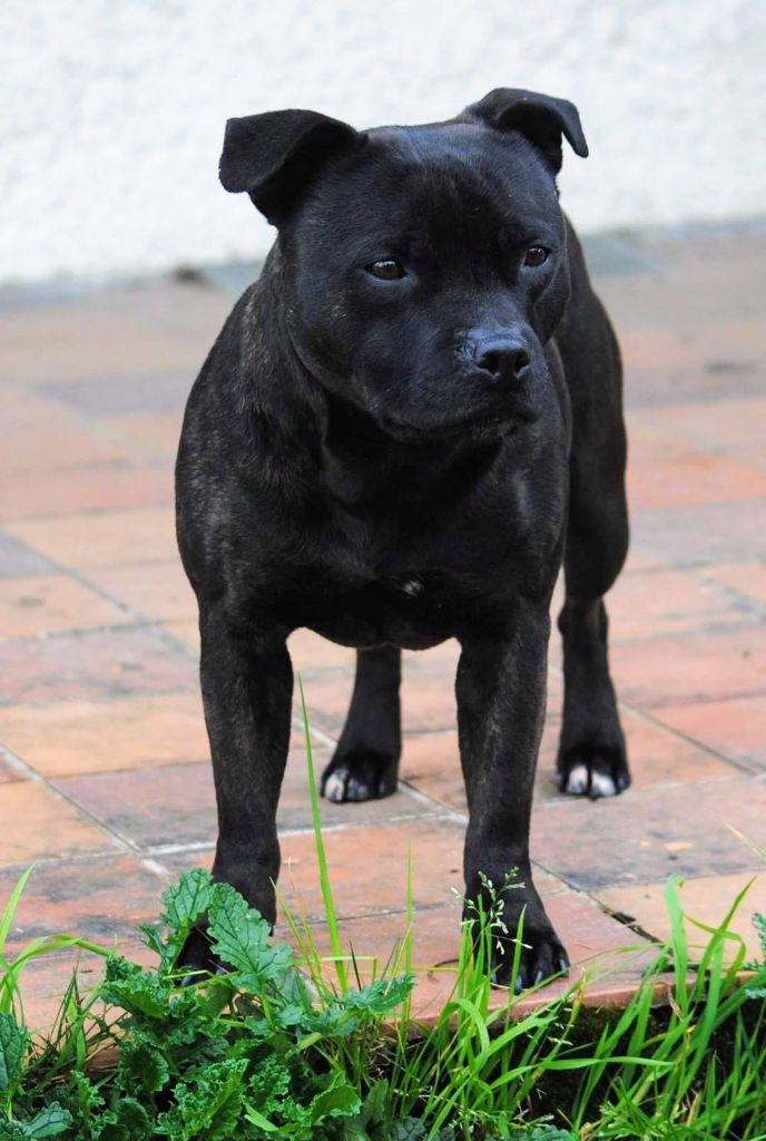 Pome's World Hey you